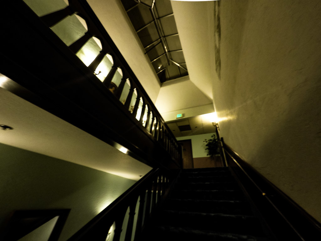 Stairs in Cary House. 