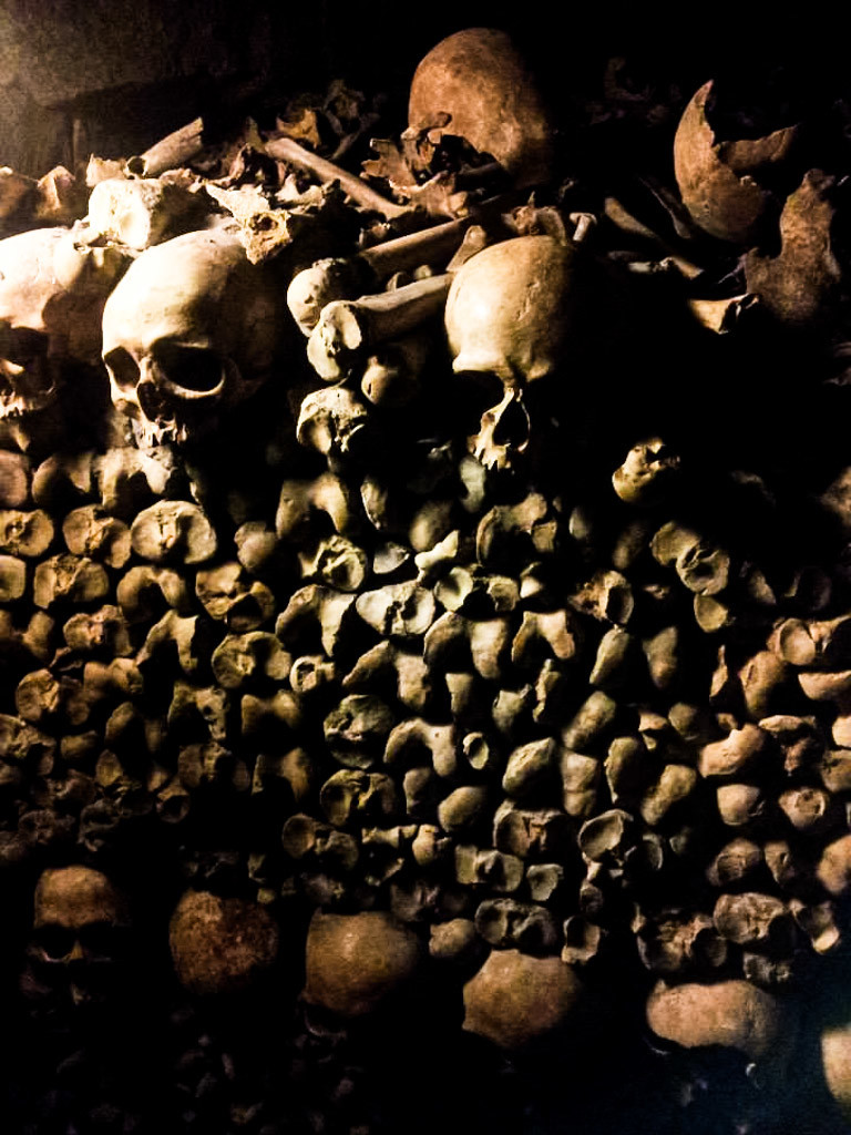 Skulls and femurs in the Paris Catacombs. 