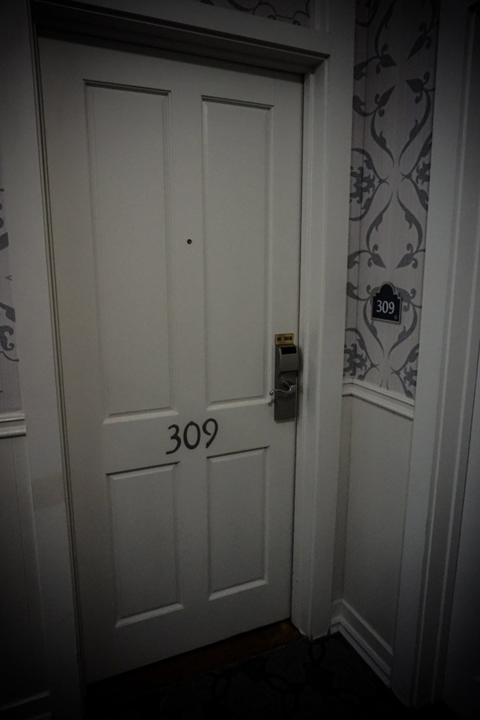 Haunted Room 309 of the Horton Grand Hotel. 