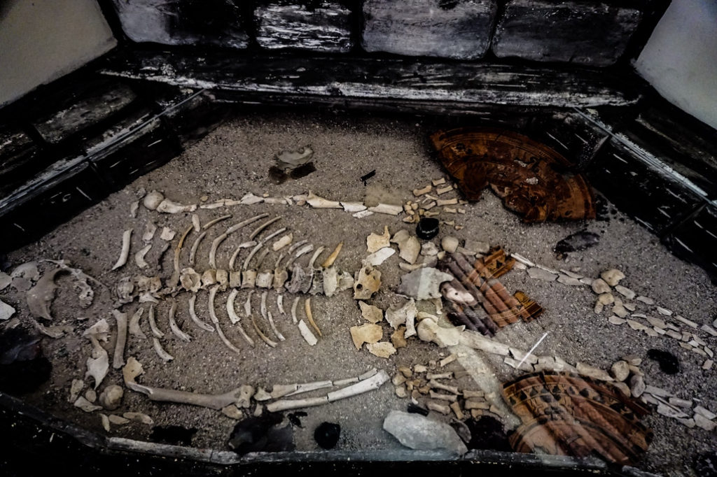 Skeleton at haunted Xunantunich. 