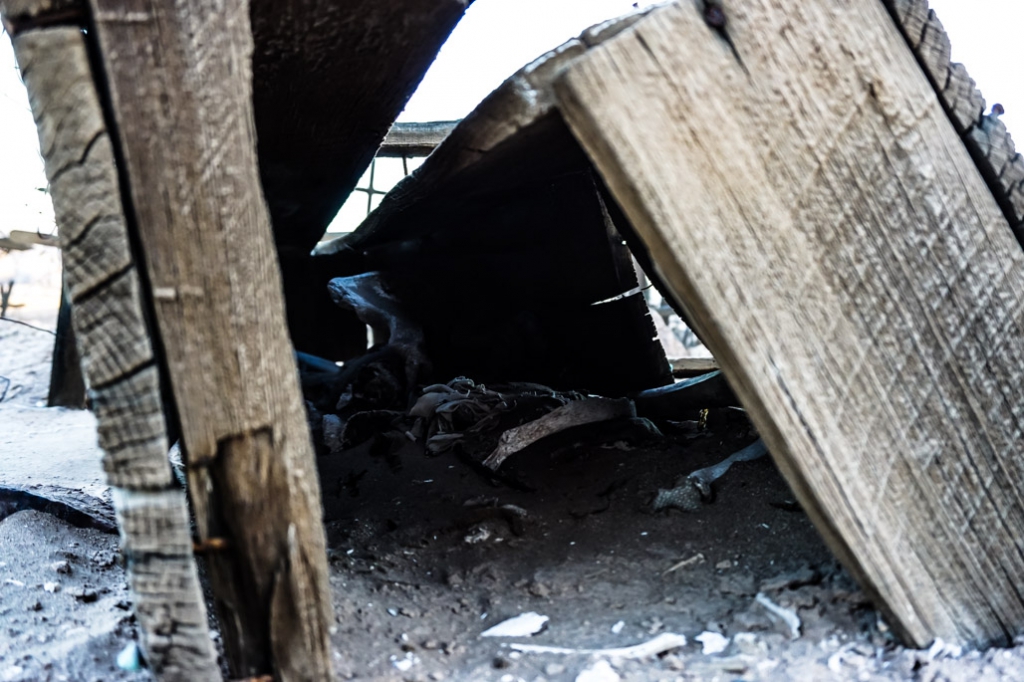 Human Skeleton within an exposed coffin at the cemetery in Chile. 