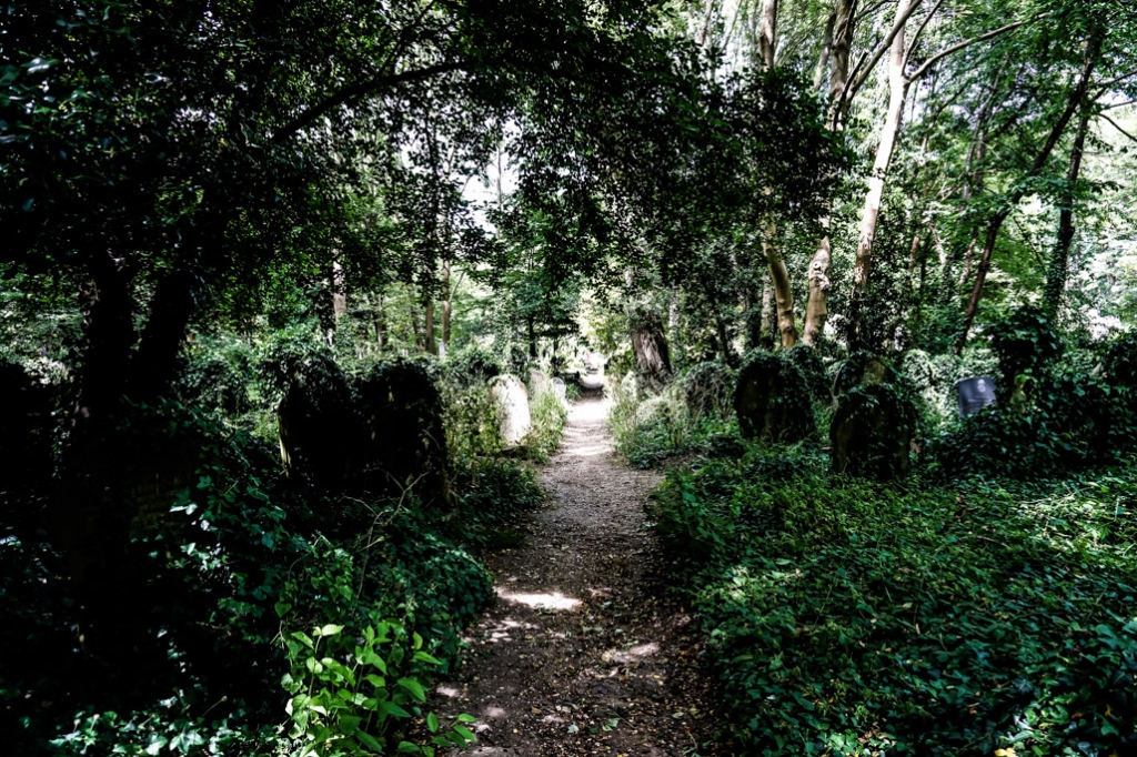 tombstones in Highgate, London. 