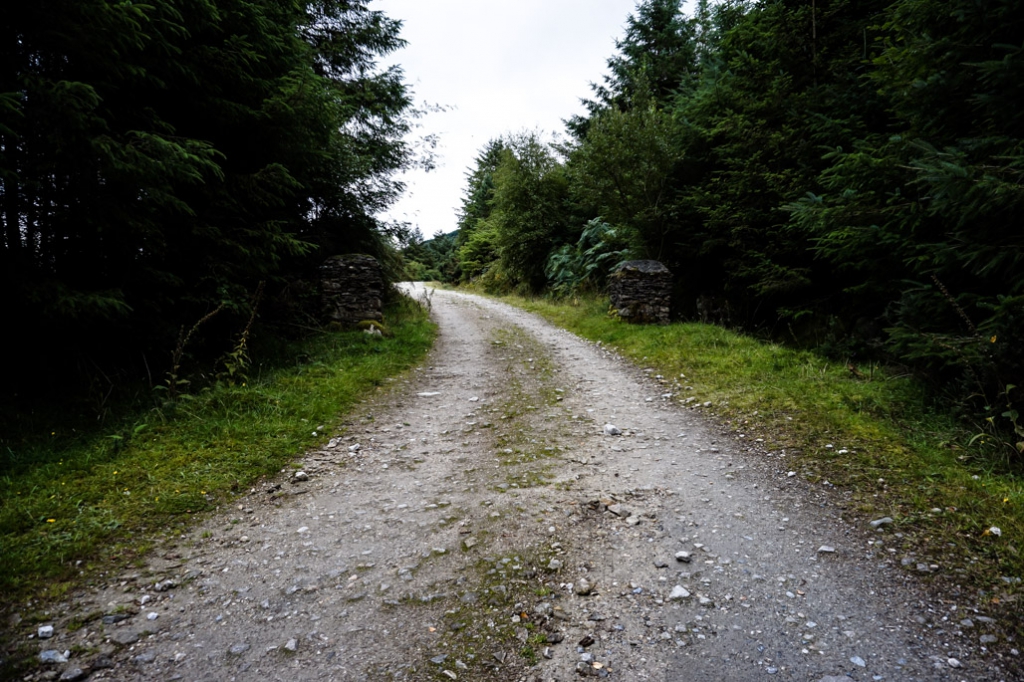 Haunted hiking trail in Ireland. 