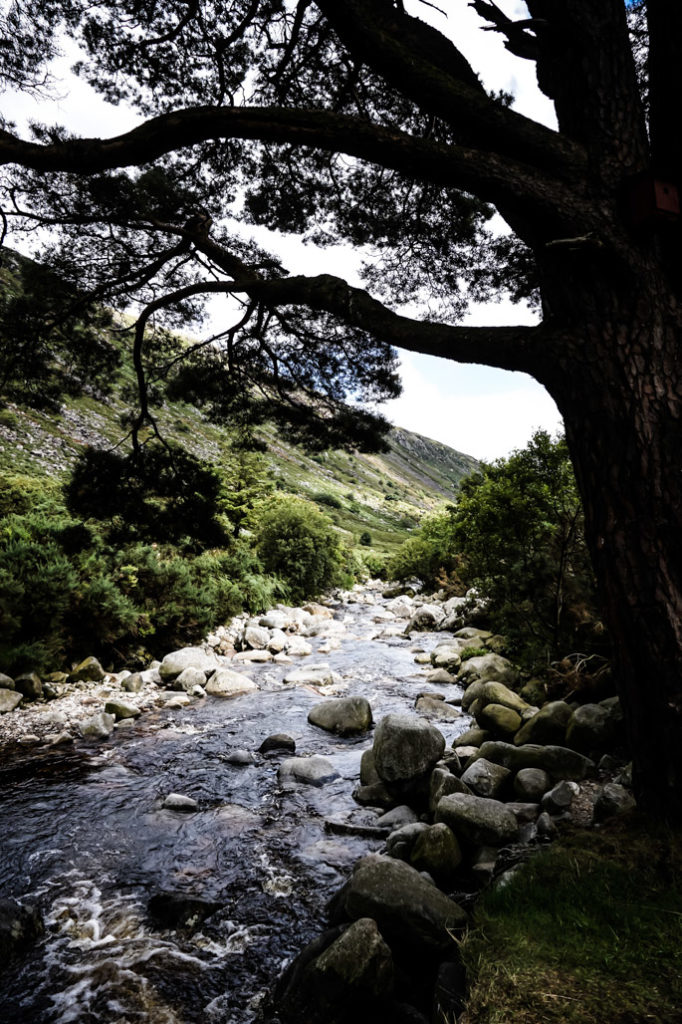 Stream running through the Glenmalure Valley, Ireland. 