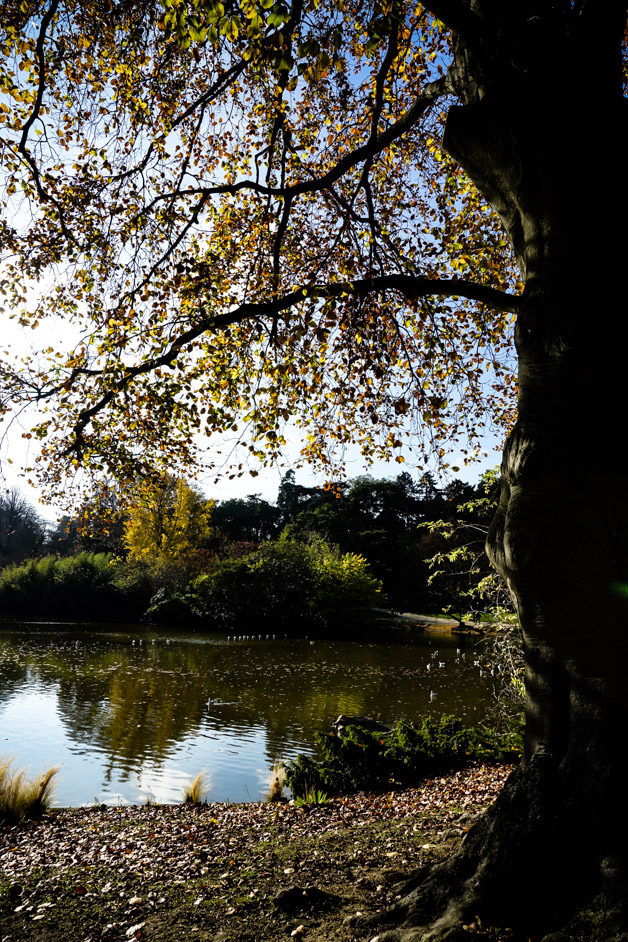 Lake in Parc Montsouris. 