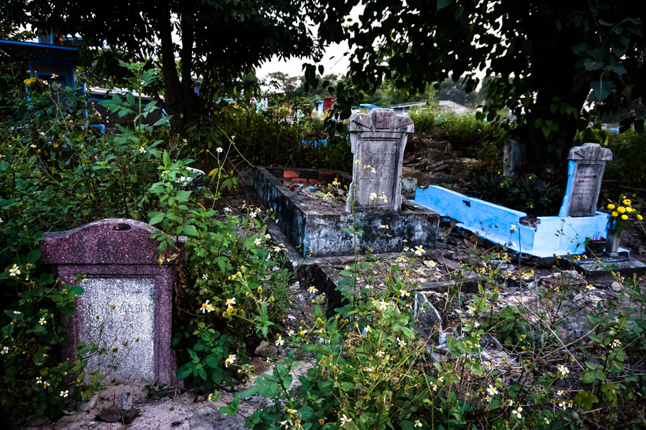 Overgrown gravestones. 