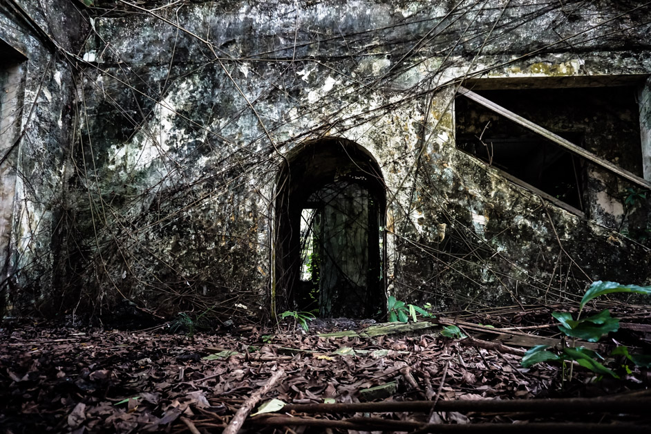 Overgrown haunted house in Malaysia, the Bukit Tunku. 