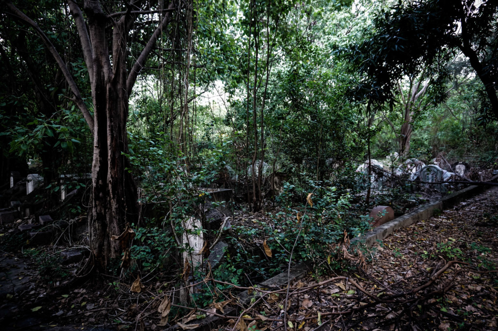 Overgrown Teochew Chinese Cemetery. 