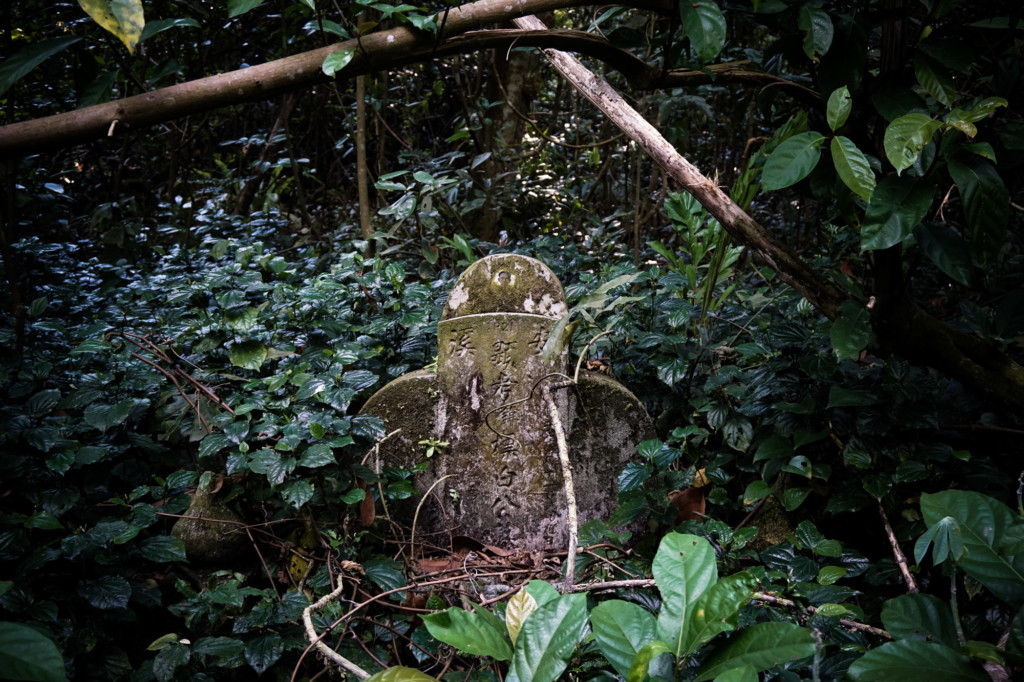 Gravestone in a rainforest cemetery. 