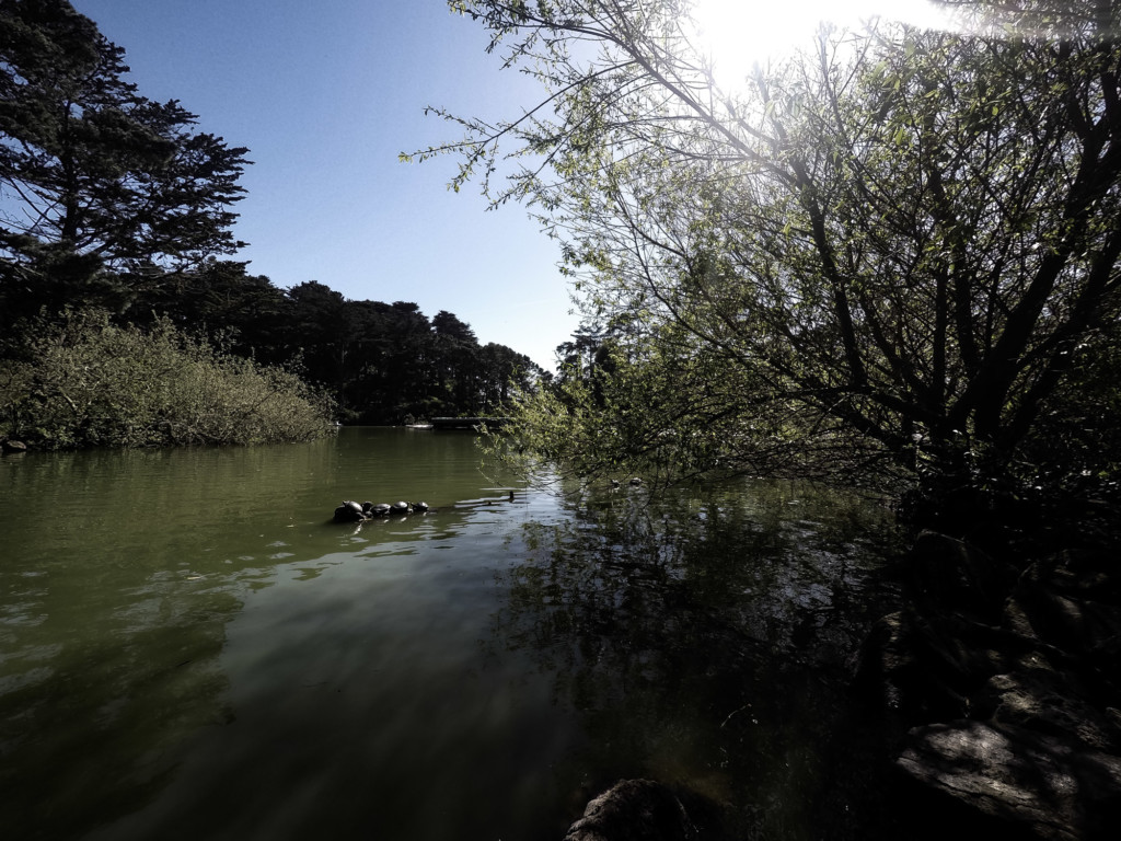 Haunted Stow Lake in Golden Gate Park, California. 