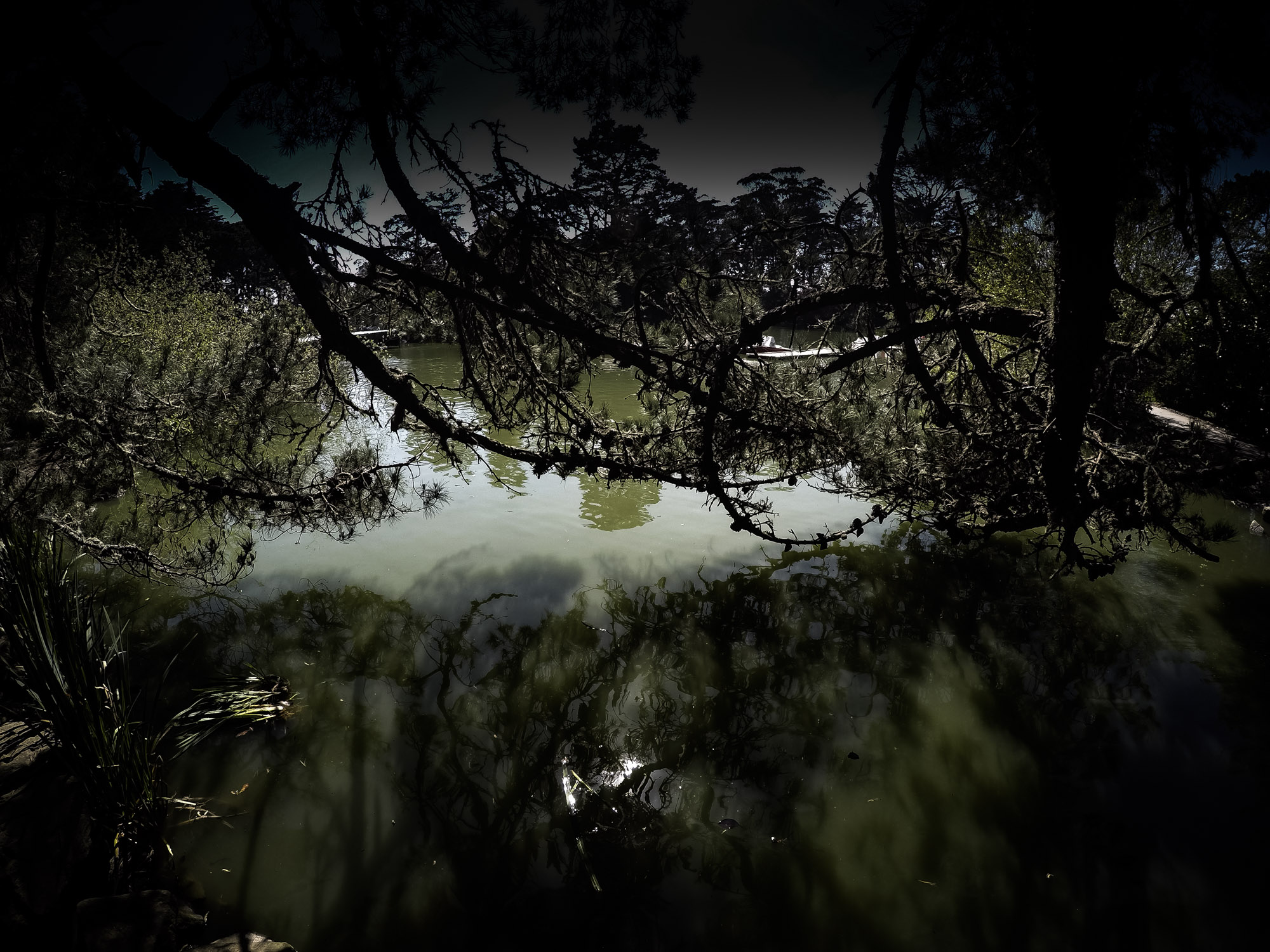 Stow Lake Ghost Haunted San Francisco Amy's Crypt