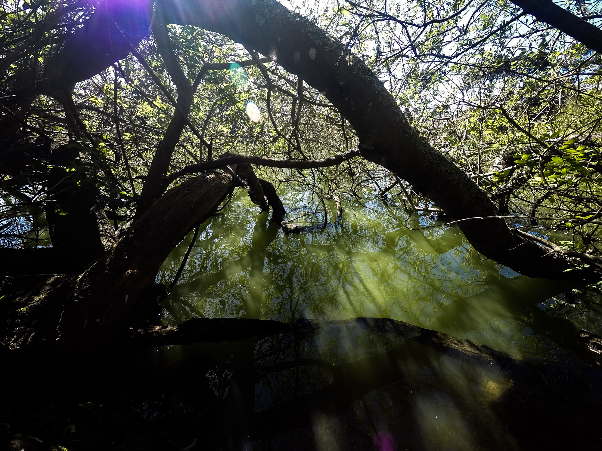 Stow Lake Ghost Haunted San Francisco Amy's Crypt