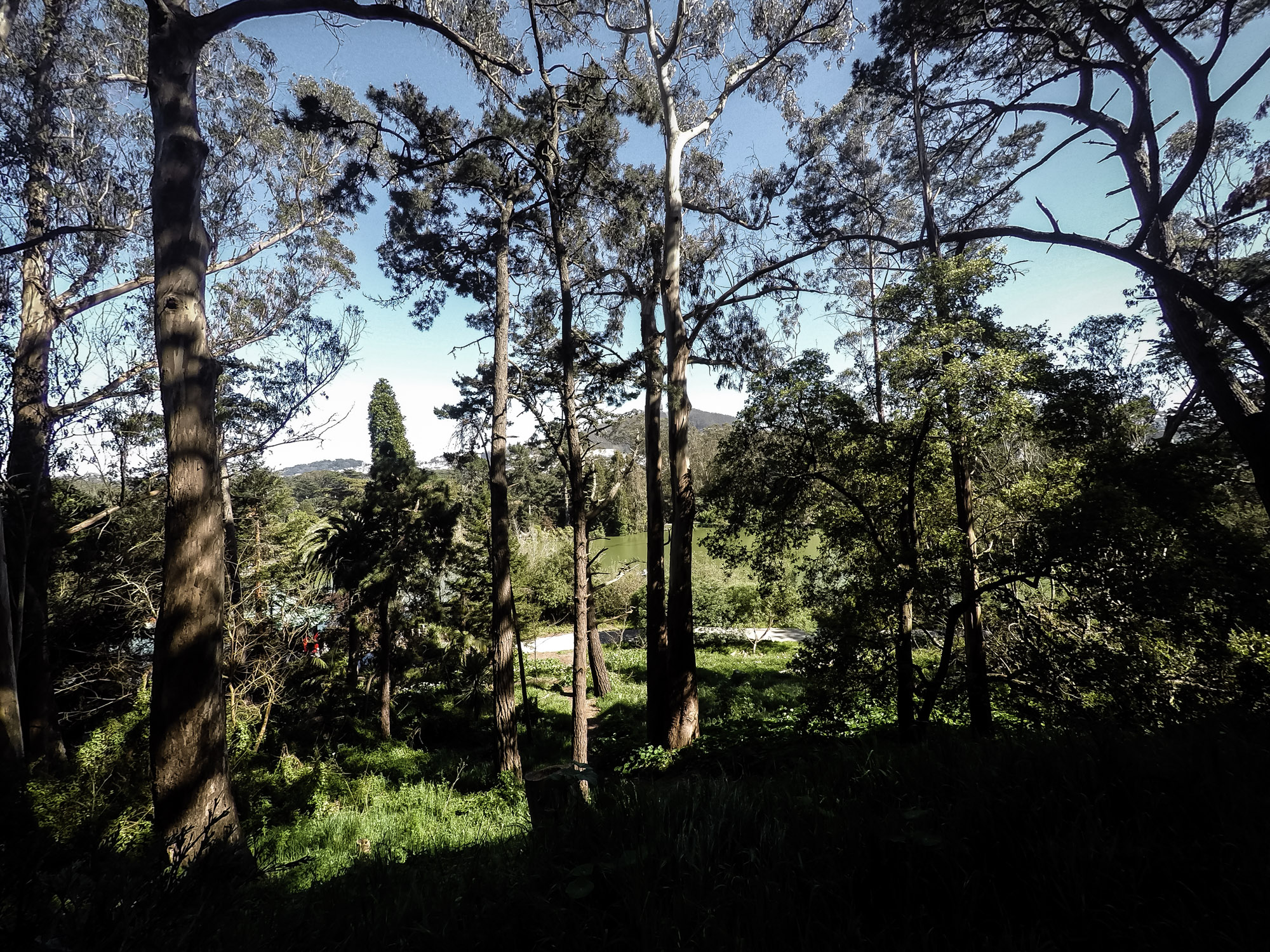 Stow Lake Ghost Haunted San Francisco Amy's Crypt