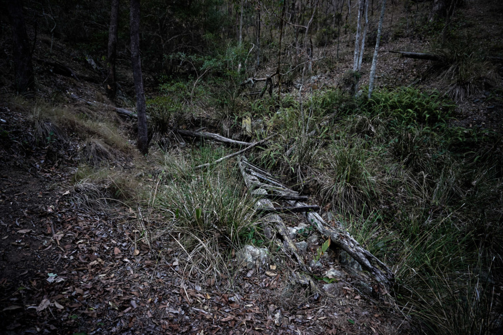 Former mining tram track at the Ghost Hole Mine. 
