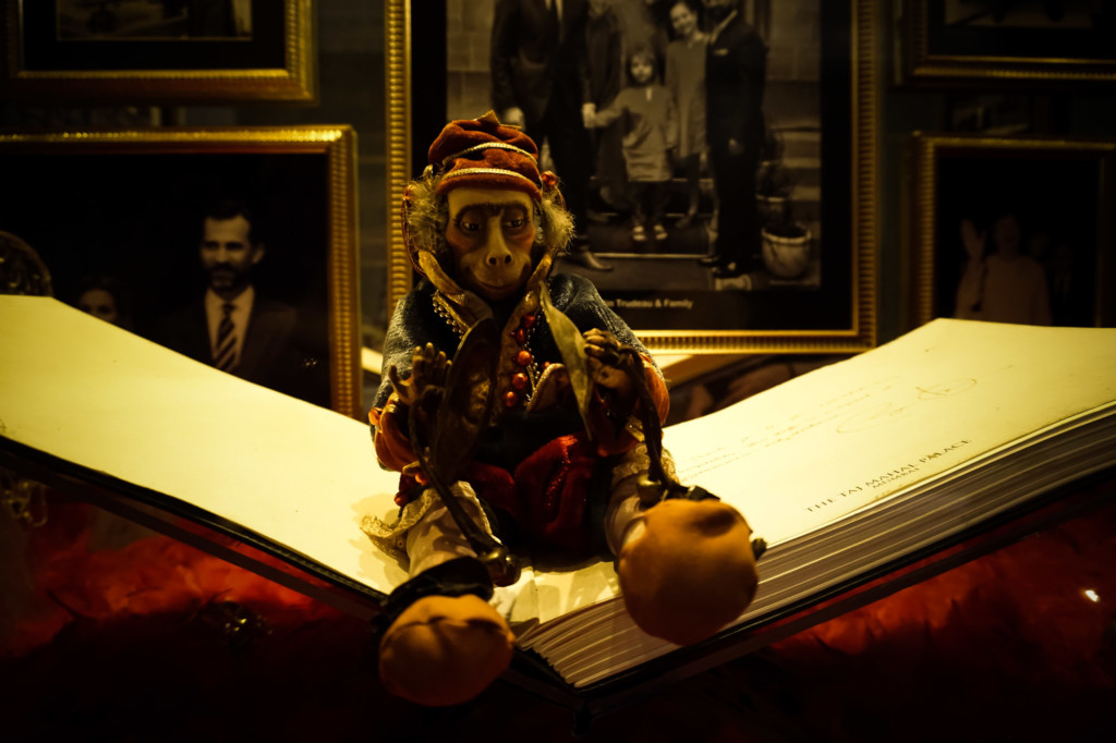 Creepy monkey on display in haunted Indian hotel. 