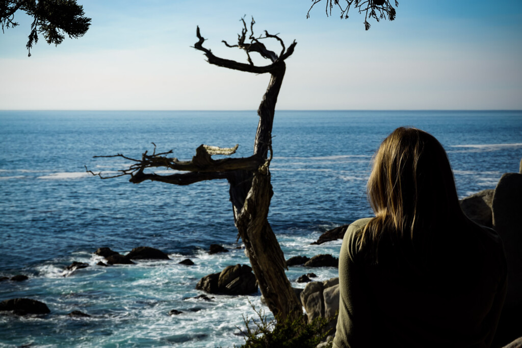 Haunted Ghost Tree near Monterey. 