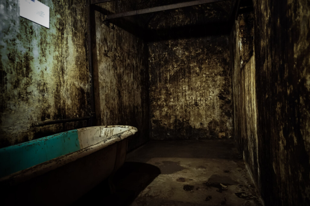 Haunted Governor's Bathroom at J Ward. 