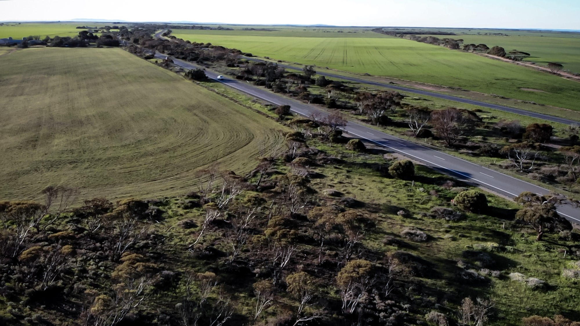 Port Wakefield Phantom Hitchhiker Haunted Road Amy's Crypt