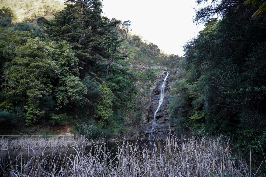 Haunted Waterfall Gully. 