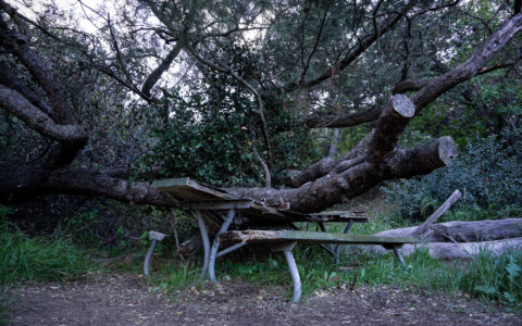 Griffith Park’s Haunted Picnic Table: Legend of Picnic Table 29