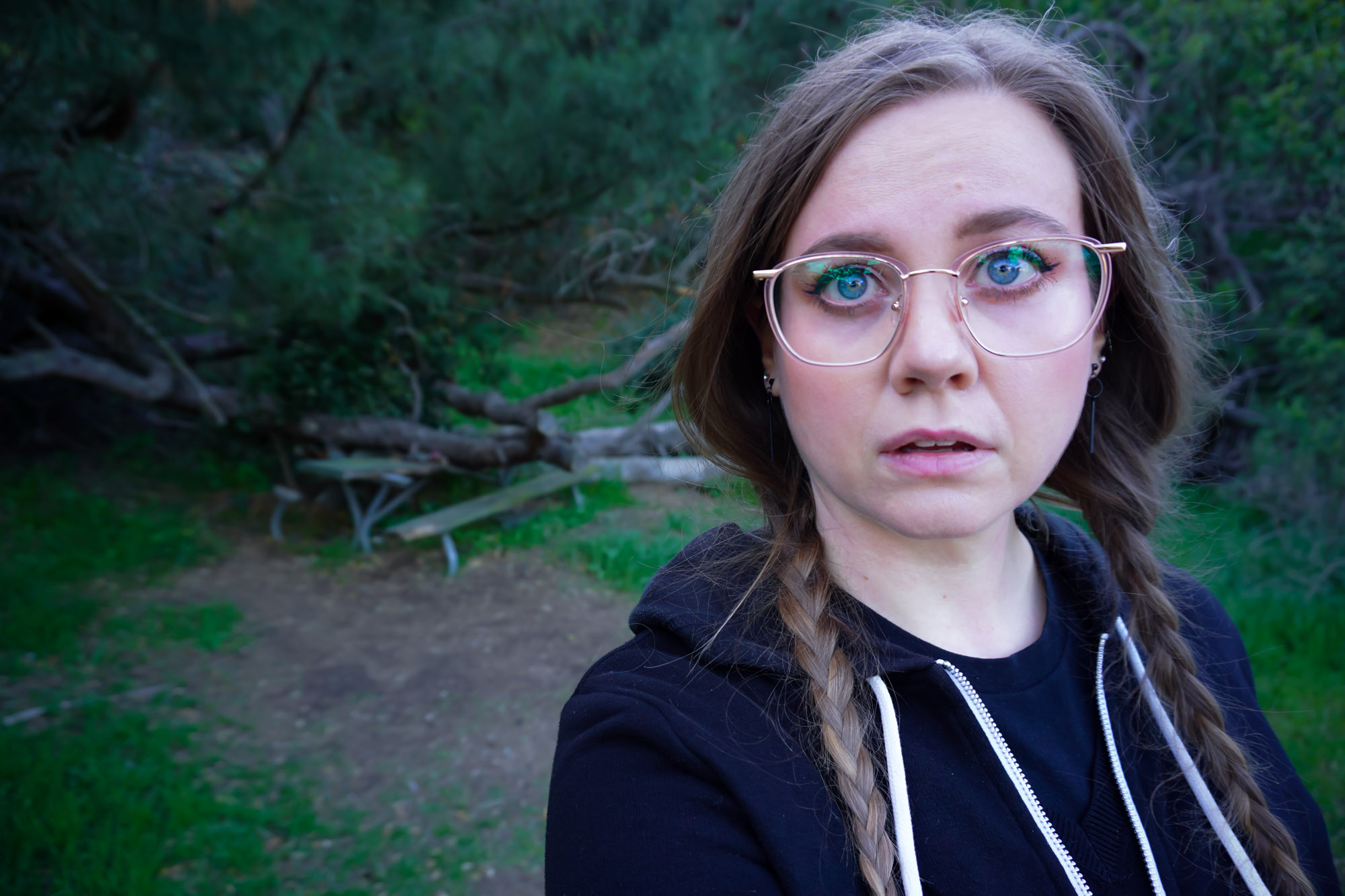 Haunted Picnic Table 29 of Griffith Park Amy's Crypt