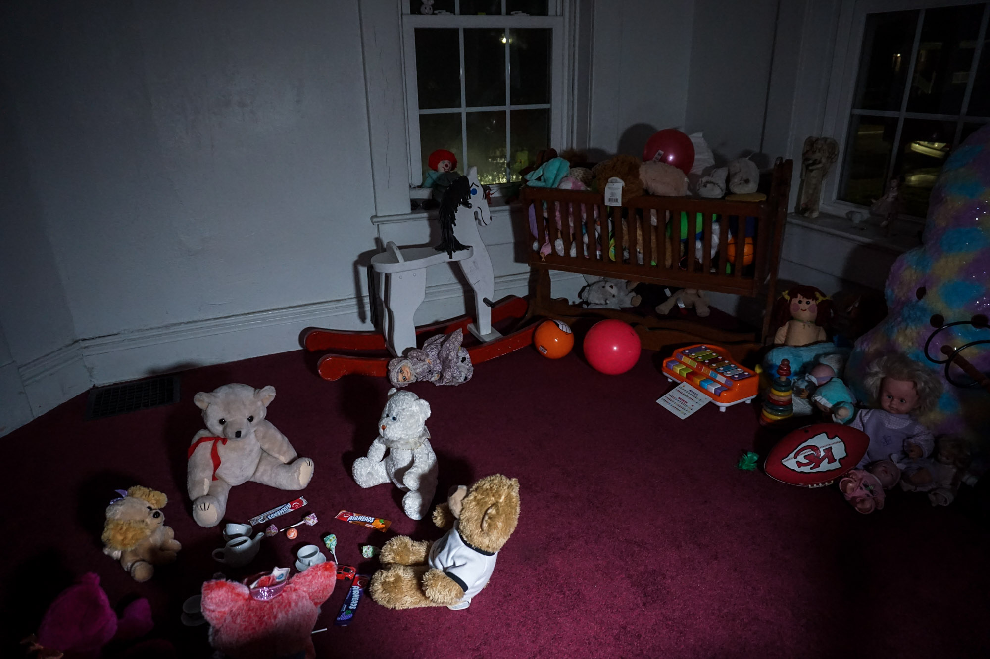 Sallie House Haunting or a Demon? Amy's Crypt